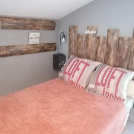 Chambre 23M2 Avec Jardin Wi-Fi Gratuit Saint-Gironsアパートメント エクステリア 写真
