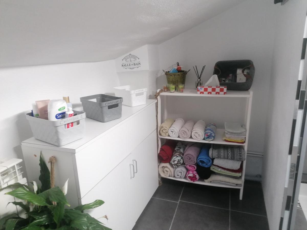 Chambre 23M2 Avec Jardin Wi-Fi Gratuit Saint-Gironsアパートメント エクステリア 写真