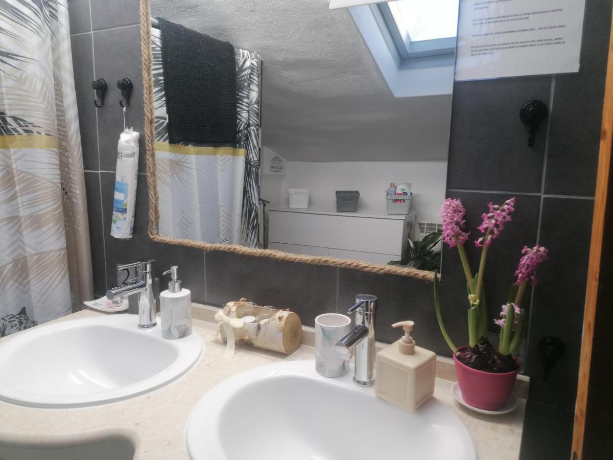 Chambre 23M2 Avec Jardin Wi-Fi Gratuit Saint-Gironsアパートメント エクステリア 写真