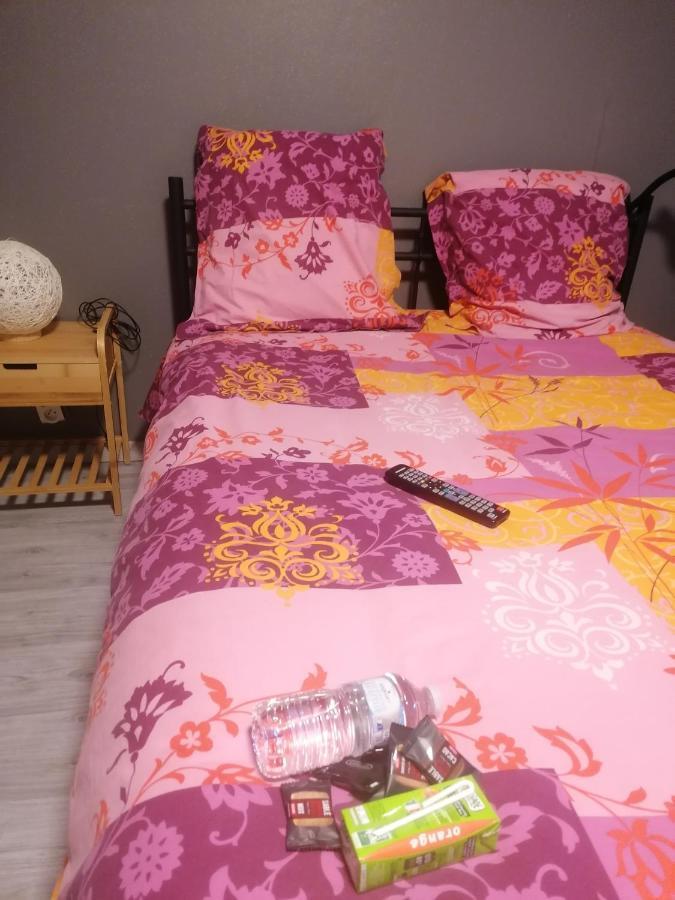 Chambre 23M2 Avec Jardin Wi-Fi Gratuit Saint-Gironsアパートメント エクステリア 写真
