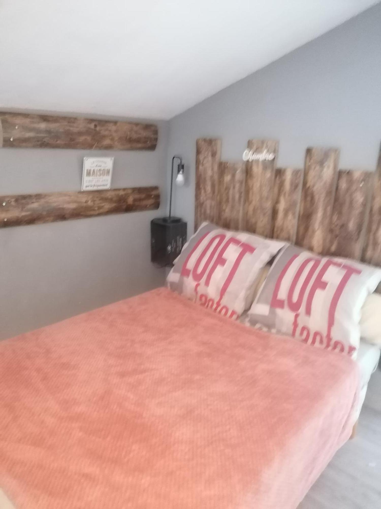 Chambre 23M2 Avec Jardin Wi-Fi Gratuit Saint-Gironsアパートメント エクステリア 写真